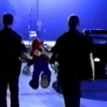 Mario gets arrested meme