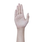 hand