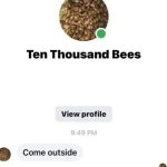 10000 Bees