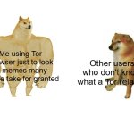 What are you grateful for today? | Me using Tor Browser just to look at memes many people take for granted; Other users who don't know what a Tor relay is | image tagged in memes,buff doge vs cheems | made w/ Imgflip meme maker