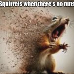 badass squirrel disintegrating | Squirrels when there's no nuts | image tagged in badass squirrel disintegrating | made w/ Imgflip meme maker