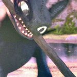 Toothless with a stick