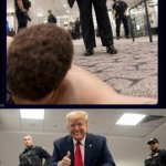Trump VS Cole Allen