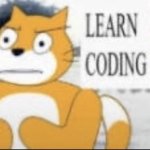 LEARN CODING meme