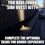 Side Quest Kitty | you have found side quest kitty; complete the optional tasks for bonus experience | image tagged in side quest cat | made w/ Imgflip meme maker