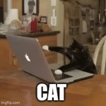 Lol | Cat | image tagged in gifs,grumpy cat | made w/ Imgflip video-to-gif maker