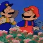 Mario and Luigi Sniff the Flowers meme