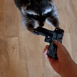 Go, do a crime blank
