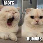 Truth is boring | Facts; Rumors | image tagged in yawning cat what do you think,spill the tea,memes,gossip,rumors,ignore facts | made w/ Imgflip meme maker
