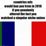 anime | countries mfs would ban you from in 2018 if you genuinely uttered the fact you watched a singular niche anime | image tagged in gifs,memes,funny,anime,true | made w/ Imgflip video-to-gif maker