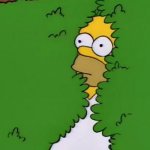 homer