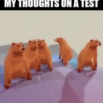 this is true | my thoughts on a test | image tagged in gifs,test,school,fun,memes,relatable | made w/ Imgflip video-to-gif maker