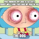 Hello | Pug owners my dog is so cute everybody will love this dog my dog be healthy; The dog | image tagged in stewie griffin eyes popping bloodshot | made w/ Imgflip meme maker