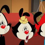 Animaniacs - What are we watching?