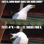 Math problems be like: | Lecture: What's 2+3? Homework: Nancy has 15 bananas and
eats 6. How many does she have now? Test: 4^x + 8x = 17. Solve for x. Exam: Julian has 89 carrots, weighs 157
pounds, and has $2,000 in his bank account.
Calculate the mass of the Sun. | image tagged in memes,inhaling seagull,math,school,oh my god,relatable | made w/ Imgflip meme maker