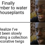 Disappointed Black Guy | Finally remember to water my houseplants; Realize I’ve just been slowly marinating a collection of decorative twigs | image tagged in disappointed black guy | made w/ Imgflip meme maker