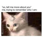 Cat Thinking