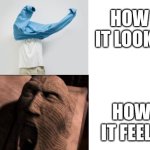 relatable, anyone? | How it looks; How it feels | image tagged in blank white template | made w/ Imgflip meme maker