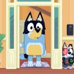 Bluey Surprise