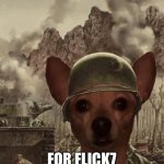 please? | Day one of asking; for flick7 to follow me | image tagged in scared chihuahua,views,flick7,farming | made w/ Imgflip meme maker