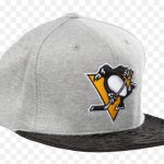 Pittsburgh Penguins Believe