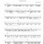 Only Advanced percussion snare drum music