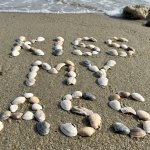 James Comey sea shells