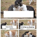cat being jerk