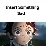 Tanjiro Kamado is sad about what ?