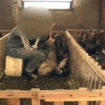 Service provider vs customer in 2026