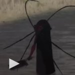 roach template