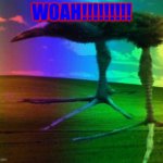 ....... | WOAH!!!!!!!!! | image tagged in memes | made w/ Imgflip meme maker