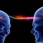 neural net template