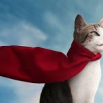 Super Cat
