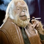 White Ape