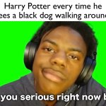 Unc | Harry Potter every time he sees a black dog walking around:; Are you serious right now bro? | image tagged in ishowspeed are you serious right now bro,harry potter,funny,fun,memes | made w/ Imgflip meme maker