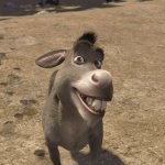 Donkey smiles