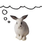 mmm celery rabbit bunny thinking