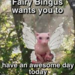bingus | image tagged in wholesome message with bingus | made w/ Imgflip meme maker