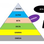 Male genders Pyramid