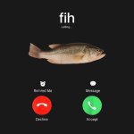 fih is calling template