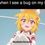 self explanatory | Me when I see a bug on my floor | image tagged in senko san i m going to step on you | made w/ Imgflip meme maker