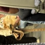 Sad commuter dog