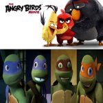 2012 Turtles Loves The Angry Birds Movie (2016) | image tagged in angry birds,tmnt,teenage mutant ninja turtles,deviantart,memes | made w/ Imgflip meme maker