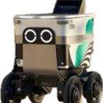 Delivery robot