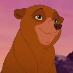 Bear Nita