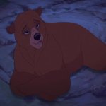 Nita as a Bear