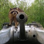 Coon says Delet this