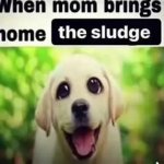 sludge