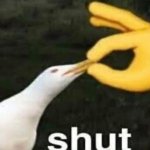 SHUT | image tagged in shut | made w/ Imgflip meme maker